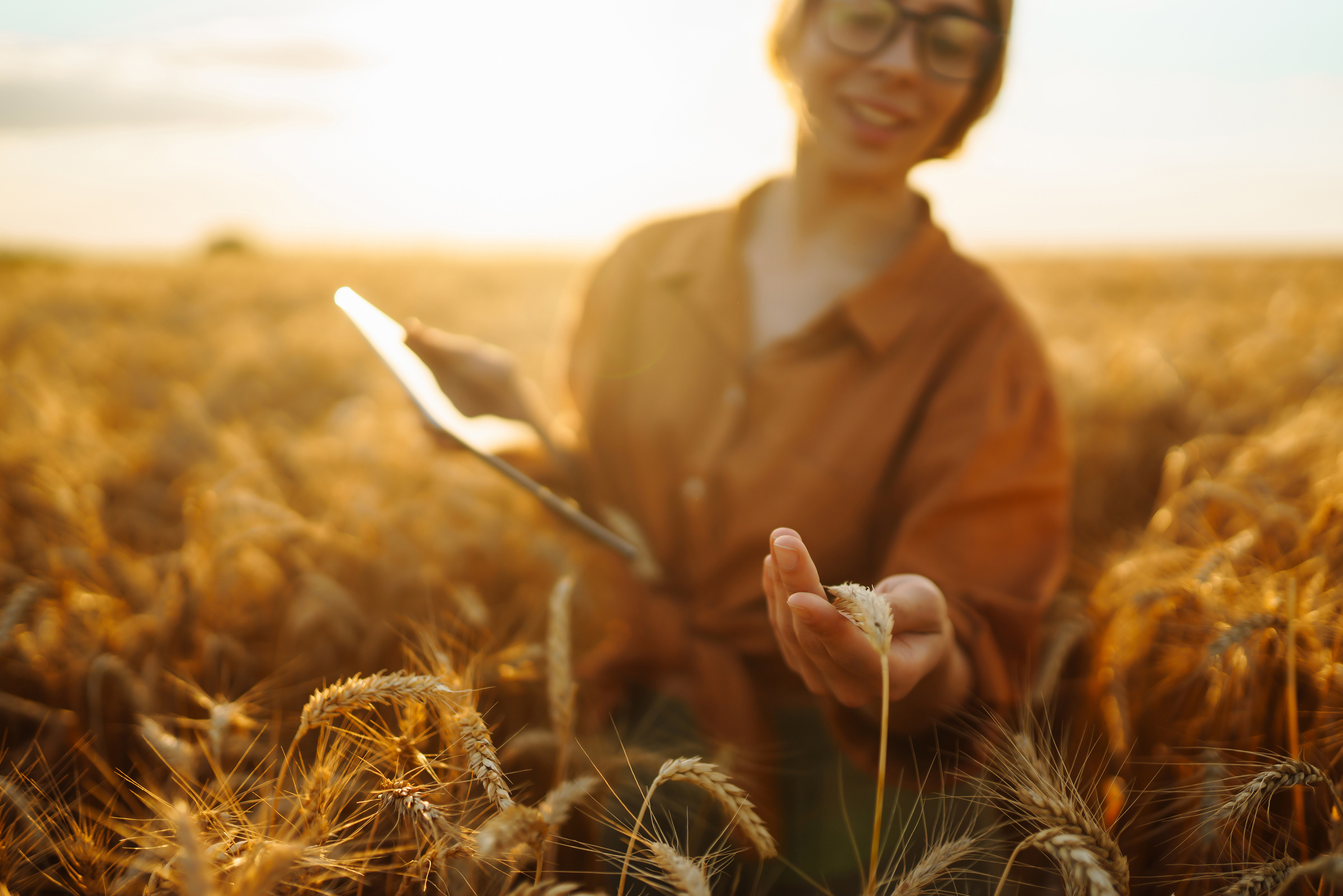 Farmer- woman on wheat field with tablet in his hands. Smart farm. Agriculture, gardening concept.