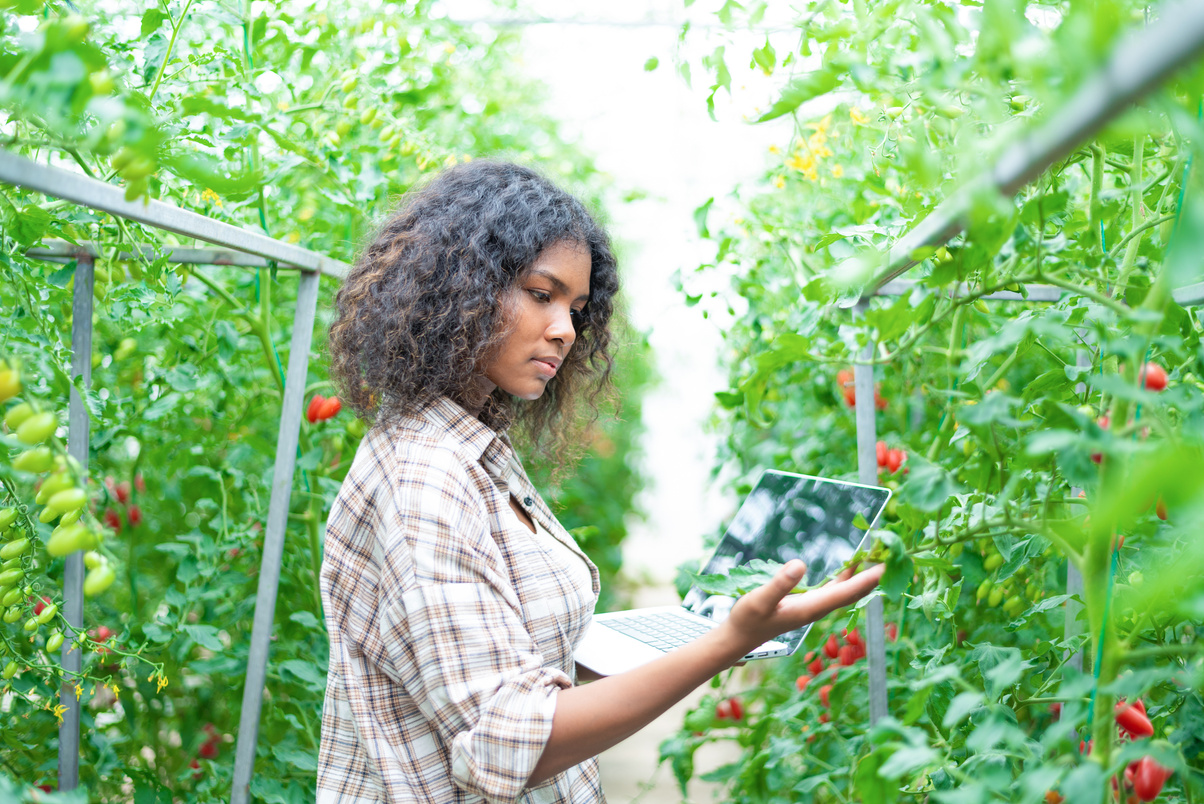 teen modern gardener ,Smart Farm